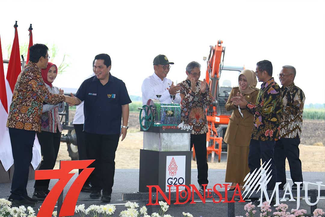Pembentukan yang diselaraskan dengan revitalisasi industri gula nasional di Kebun Tebu Temugiring Mojokerto, Jawa Timur, Senin (10/10/2022),
